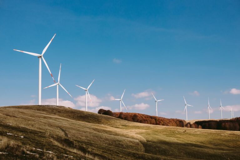 Wind Farm Acceptance